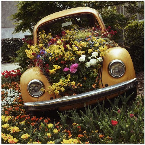 car with flowers coming out 