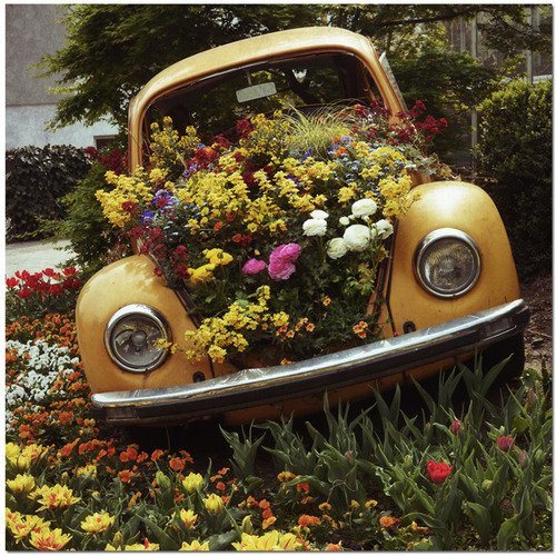 Desert X Closing 2023 car with flowers coming out