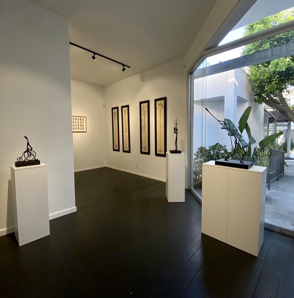 Sav Gallery