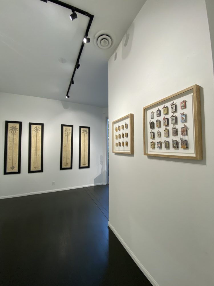 frames Sav Gallery