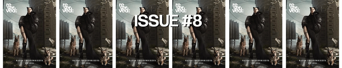 issue 8