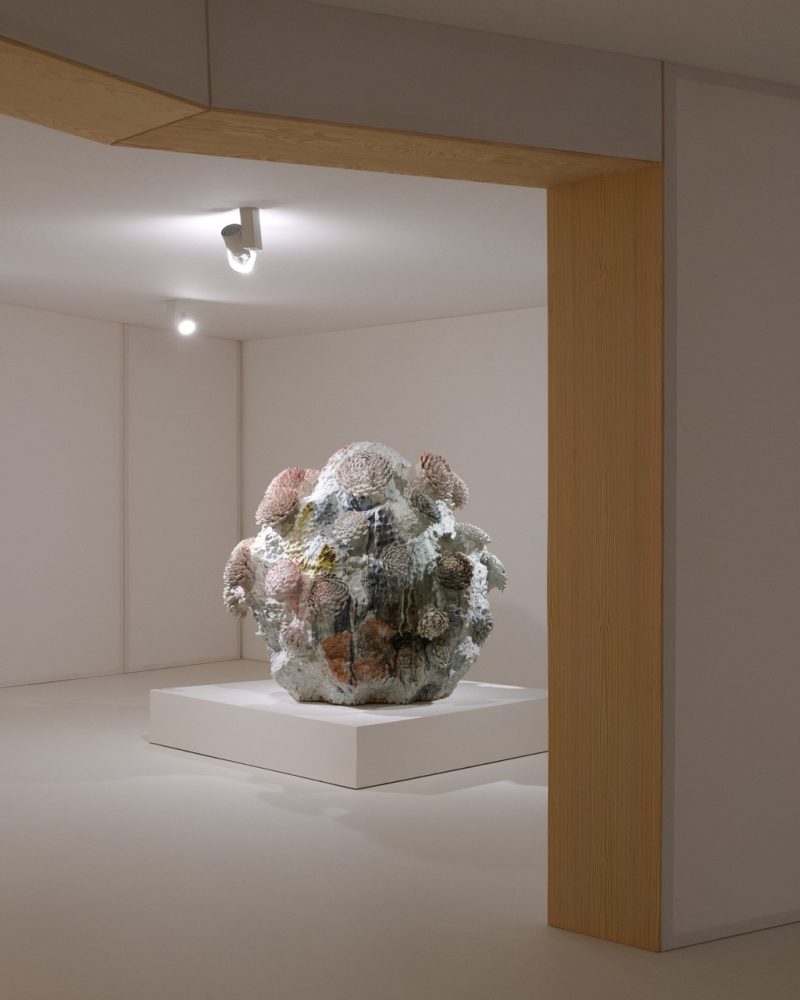 LOEWE 2025 CRAFT PRIZE SPACE CAPTURE RGB CROPPED 4X500007 Large