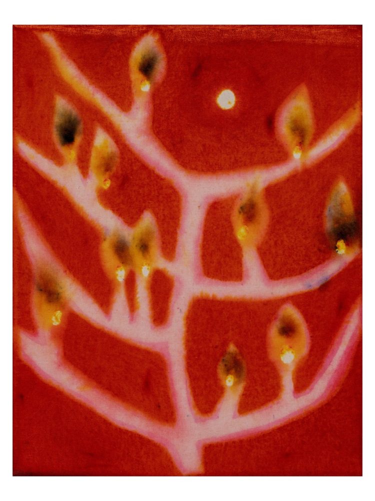 Loren Erdrich, SIgnifiers, 2025, 40x30cm, Archival Pigment Print, Signed
