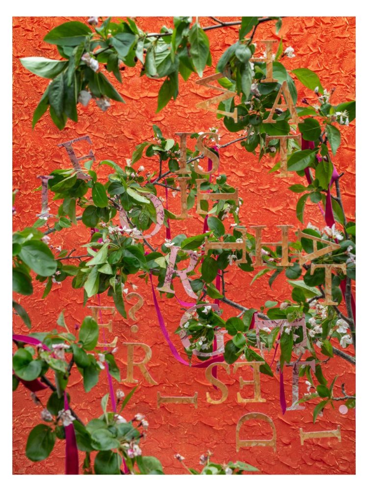 Rachel Stern, Desire Forget, , 2025, 40x30cm, Archival Pigment Print, Signed