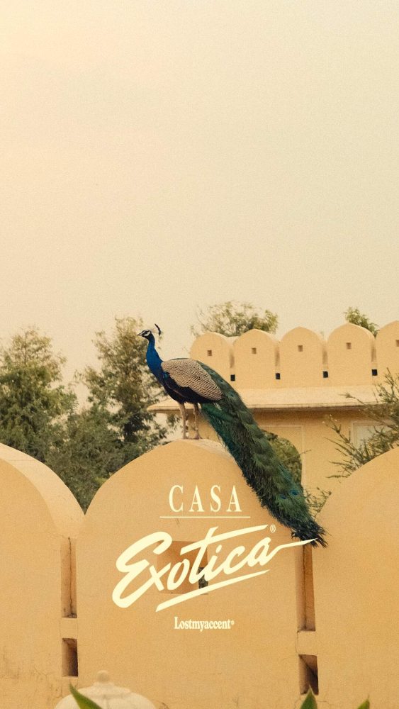 reserved magazine EXOTICA casa LOST MY ACCENT 15