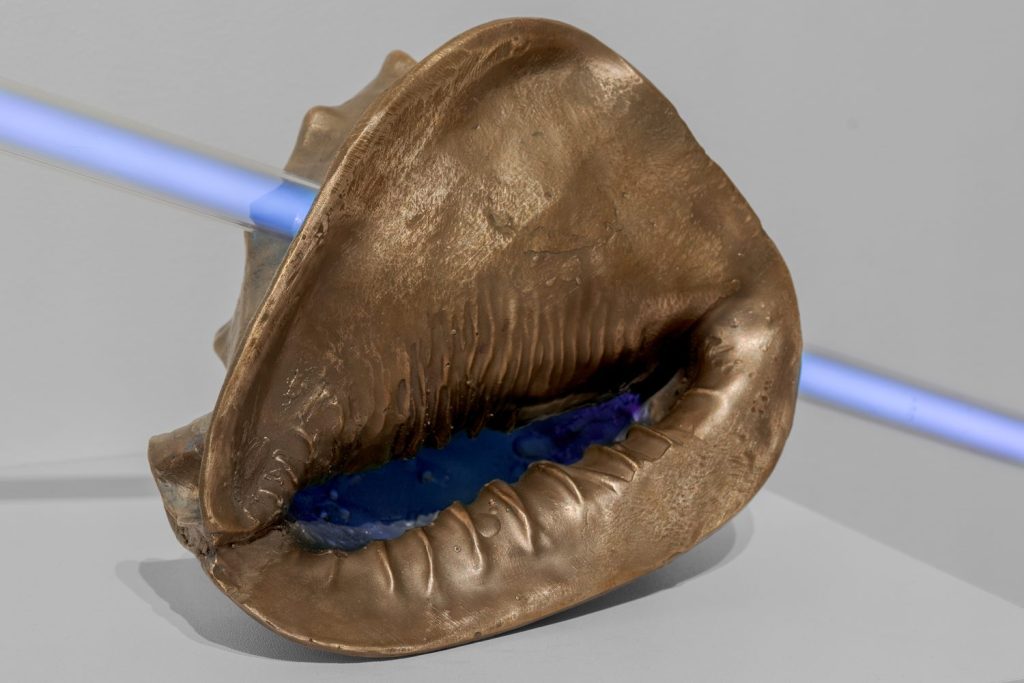 Kelly Lamb | Pomegranate Moon KL12 1 1024x683