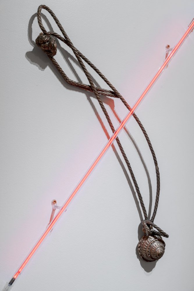 Kelly Lamb | Pomegranate Moon Kelly Lamb Reverse Cowgirl 2026 Neon and bronze