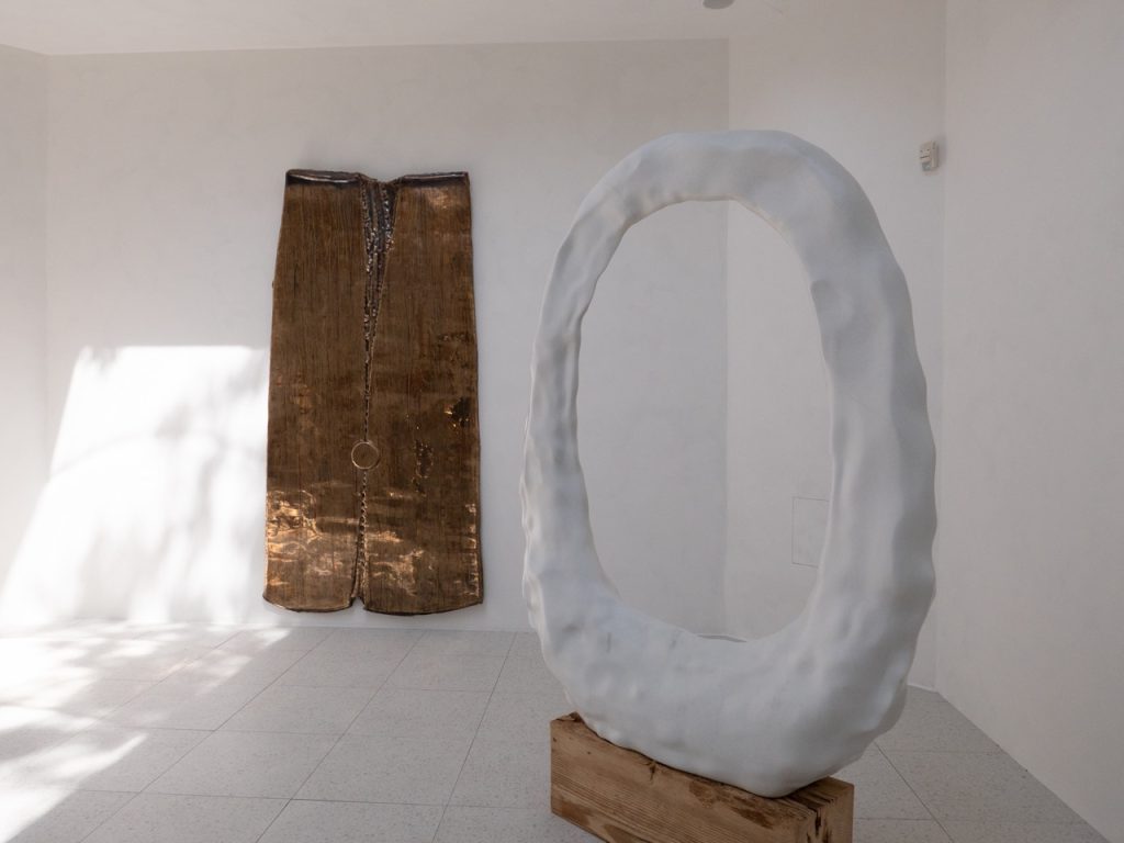 VENICE ART BIENNALE DIARY with Artist Jenny Sharaf Alma Allen representing the American Pavillion.